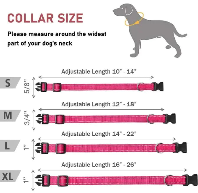 Adjustable Dog Collar