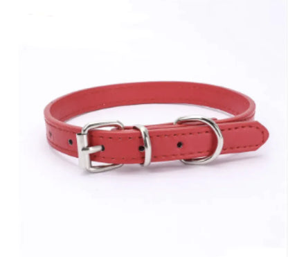 Classic Dog Collar