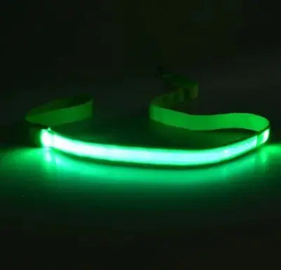 LED Dog Lead