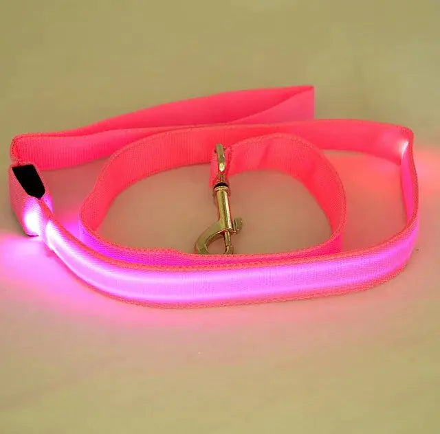 LED Dog Lead