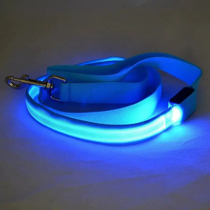 LED Dog Lead