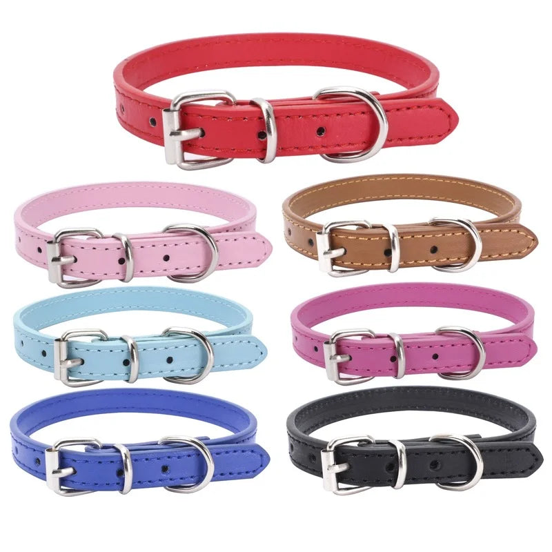 Classic Dog Collar