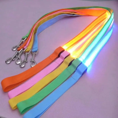 LED Dog Lead