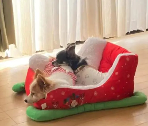 Christmas Sled Bed