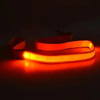 LED Dog Lead