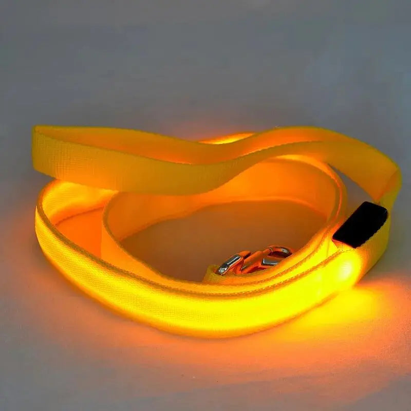 LED Dog Lead