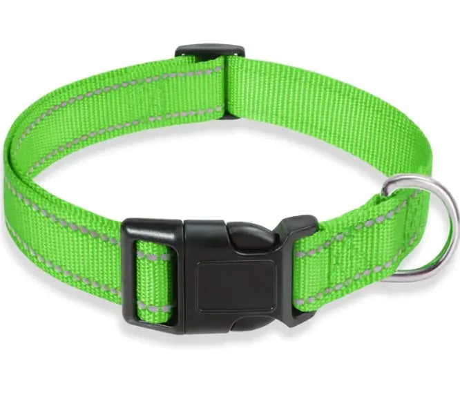 Adjustable Dog Collar